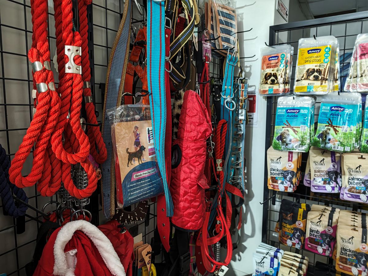 Köpek Tasmaları ve Kayışları